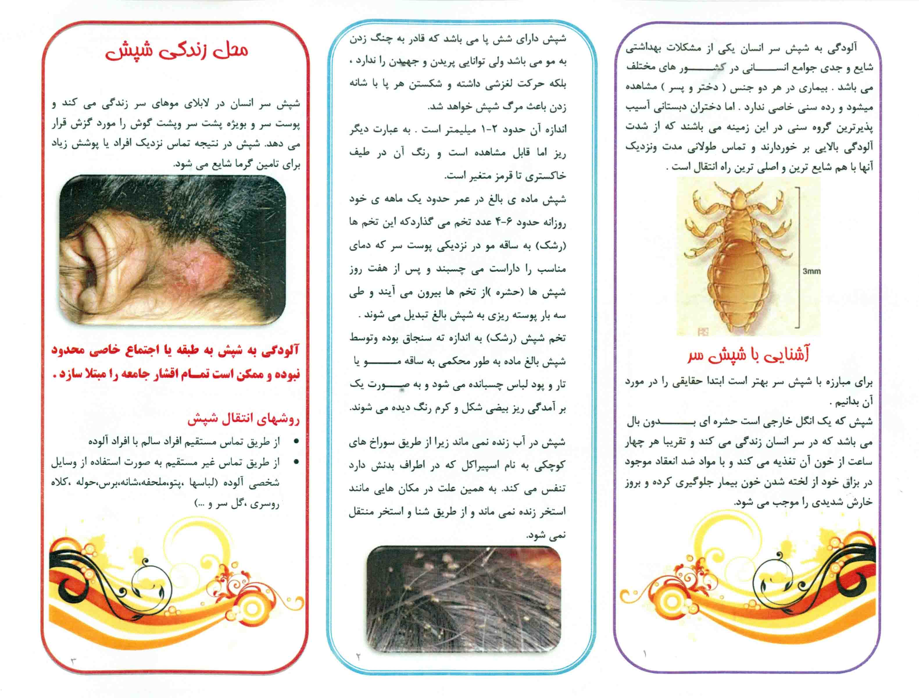 صفحه دوم بروشور